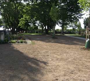 Friedhof Wendelsheim