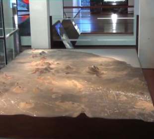 Centro de Visitantes e Interpretación de Mancha Bl