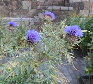 Im Karlsgarten beim Aachener Rathaus