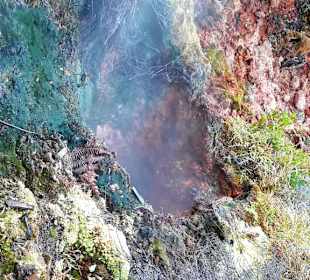 Inselrundfahrt Terceira