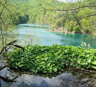 Widoki cieszące oczy