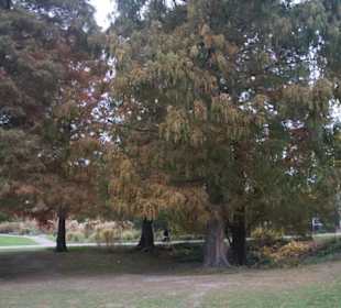 Parkanlage Planten un Blomen