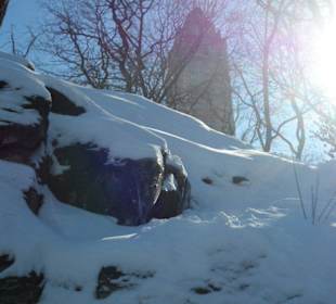 Central Park - 2 Tage später