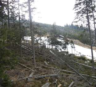 Karkonoski Park Narodowy