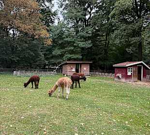 Steinerbos Belevenispark