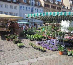 Markt Landau in der Pfalz