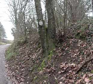 Unterjesinger Wengertwegle