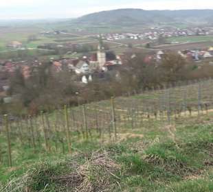 Unterjesinger Wengertwegle