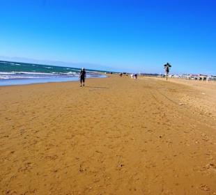 Aufgenommen am 29.11.2013