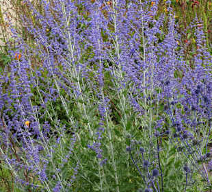 Eindrücke vom Rundgang durch den Park der Gärten