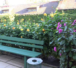 Botanischer Garten