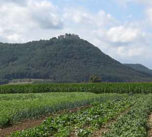 Hochgehnießen - Premiumspazierwanderweg