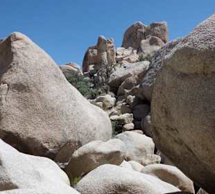 Jumbo Rocks