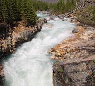 ....und gewinnt an Fahrt!