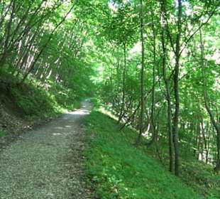 Premiumwanderweg "hochgelegen"