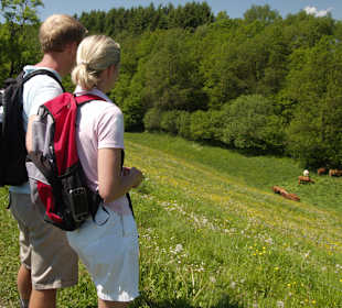 Wandern ab Hoteltür - traumhaft!
