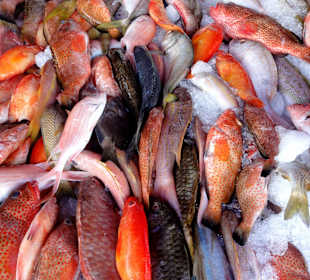 Gang über den Marché de la Darse