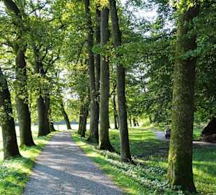 Impressionen aus dem Schlosspark Hellbrunn