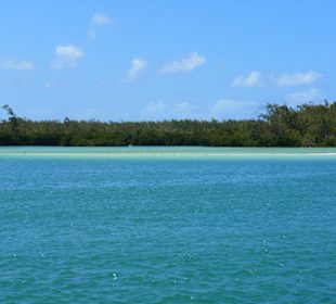 Ile aux Cerfs