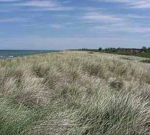 Dünenlandschaft