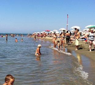 Der freie Strandabschnitt vom "Faber Beach"