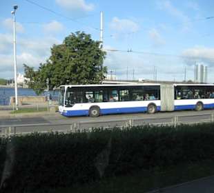 Linienbus