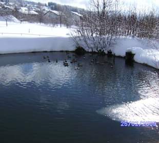 Im Kurpark 1