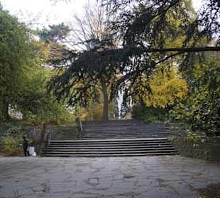 Parkanlage Planten un Blomen