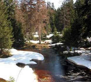 Im Oberharz