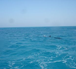 Wunderschöner Ausflug mit SimSim Reisen