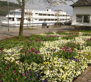 Landesgartenschau Bingen 2008