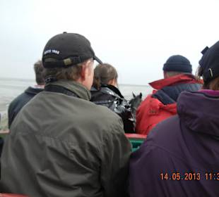 Das hat ganz schön geschaukelt