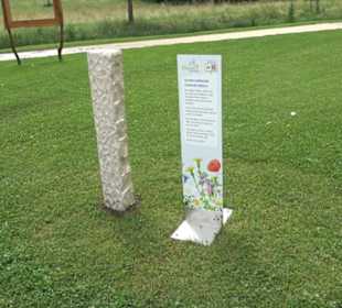 Blühendes Neresheim 2021