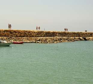 Am Hafen von Evrenseki Ende Mai