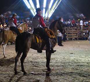 Cowboys beim Stierreiten in Brazilito