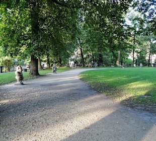 Blick in den Zwerglgarten