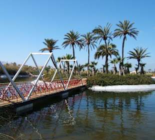 Botanicactus - Insel im künstlichen See