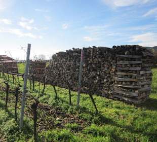 Am Hambacher Schloss