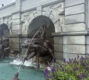Neptun Brunnen