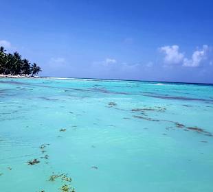 Insel Saona 