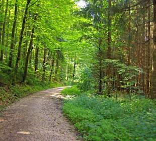 Der Therapeutische Wanderweg