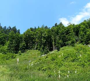 Schöne Landschaftsbilder