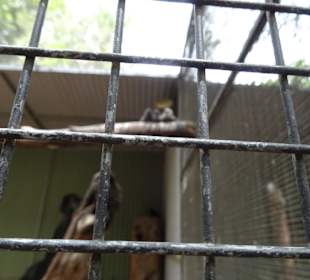 Stadtrundgang Sydney