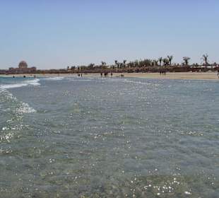 Schnorchelausflug Abu Dabab