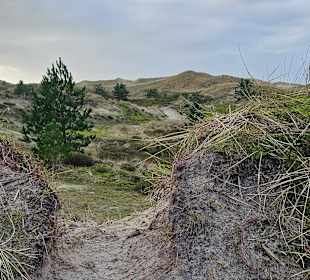 Wandern Norddorf auf Amrum