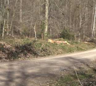 Historischer Rundwanderweg Aichtal