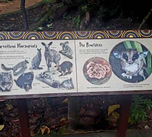 Singapur Zoo