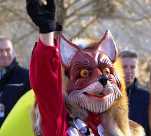 Hier Nahaufnahme Füchse