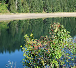 Blick über die Trinkwassertalsperre Mauthaus