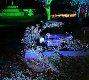 Herbstlichter Brückenkopfpark